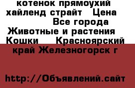 котенок прямоухий  хайленд страйт › Цена ­ 10 000 - Все города Животные и растения » Кошки   . Красноярский край,Железногорск г.